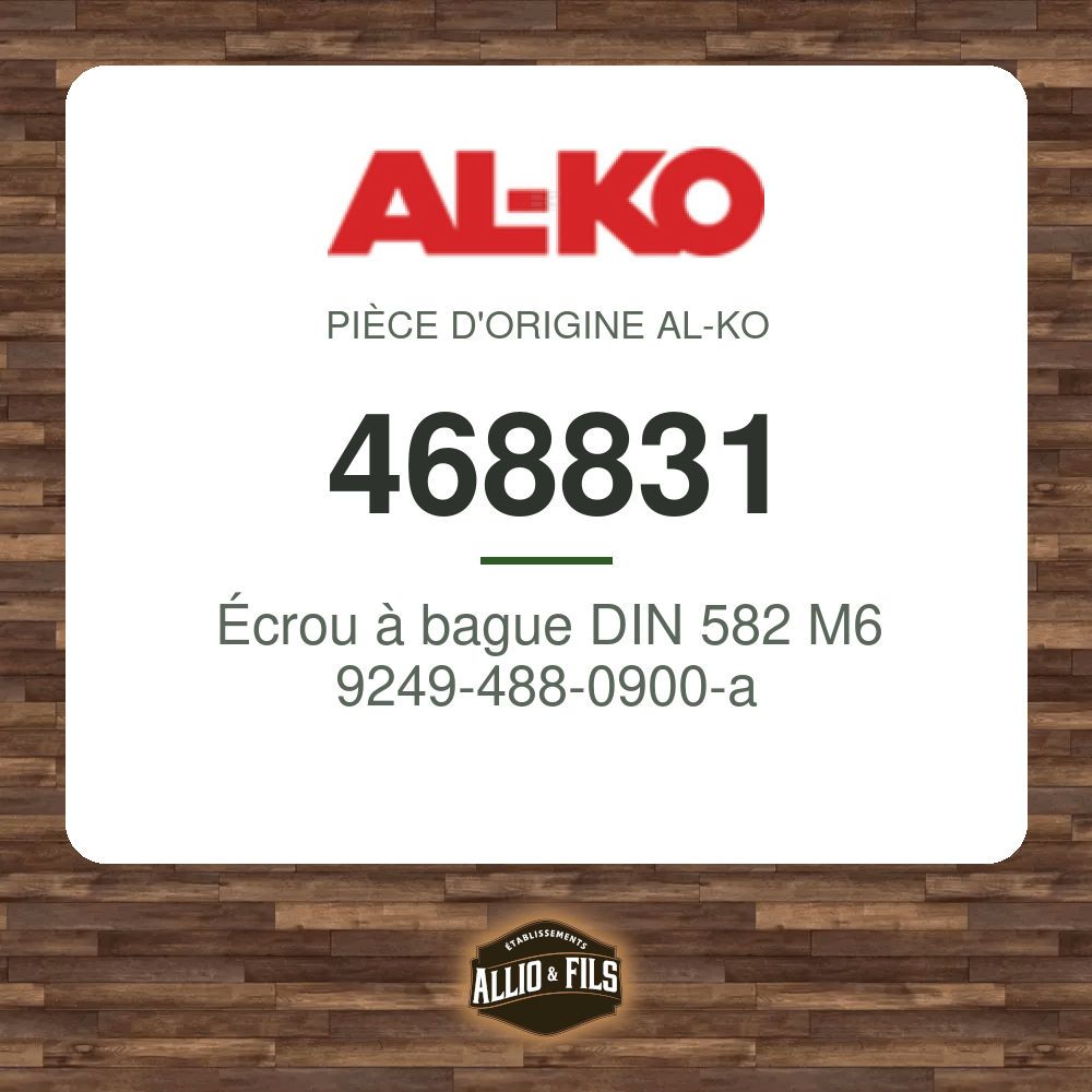 Écrou à bague DIN 582 M6 9249-488-0900-a - AL-KO 468831