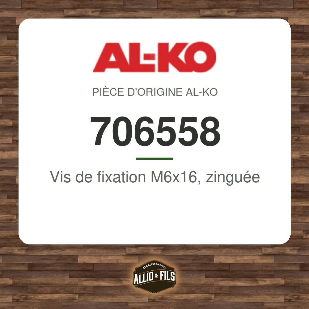 Vis de fixation M6x16, zinguée - AL-KO 706558
