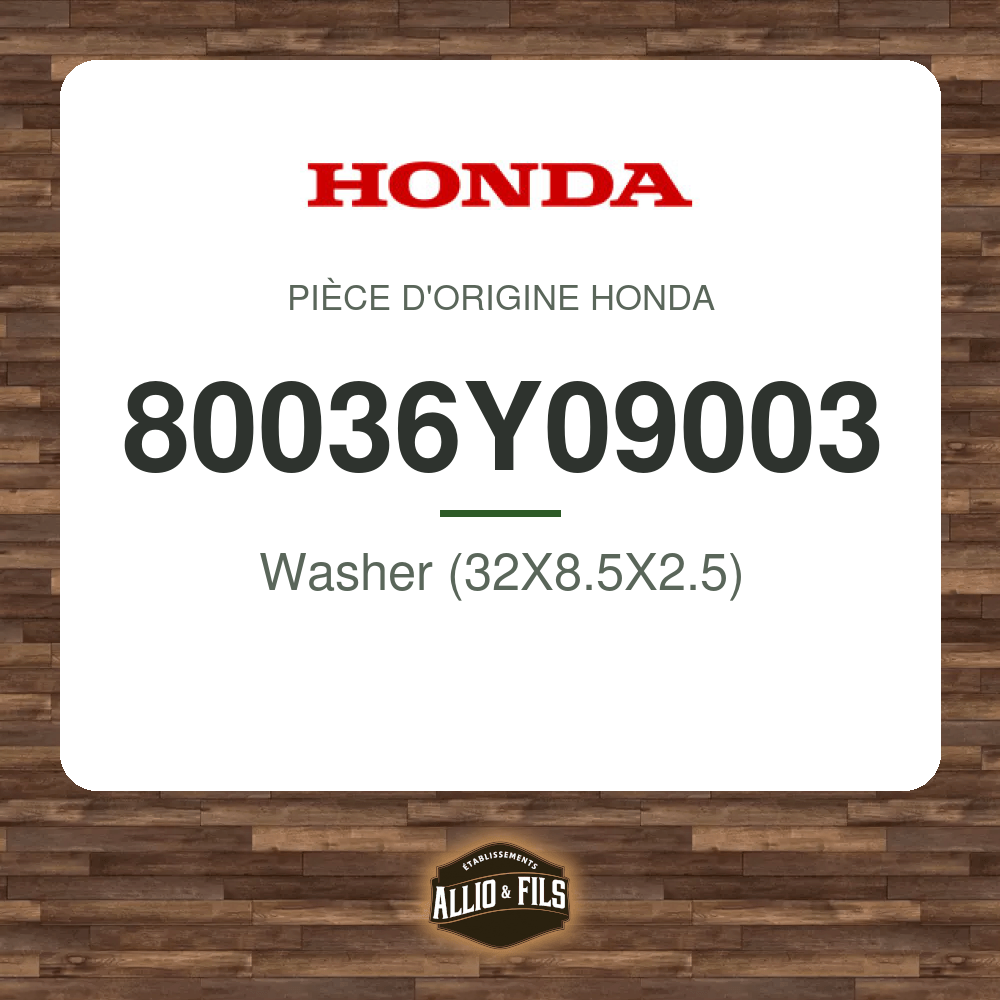 ?f=HO80036Y09003-48031857