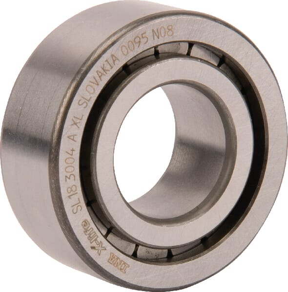 Roulement à rouleaux cylindriques 20x42x16mm INA/FAG - INA SL183004AXL