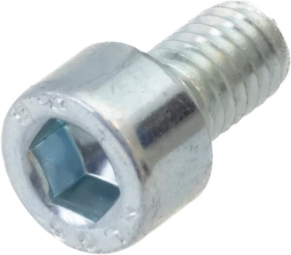 Cache-boulon 6 x 10 DIN912 - 8,8 Zp - AL-KO 705723