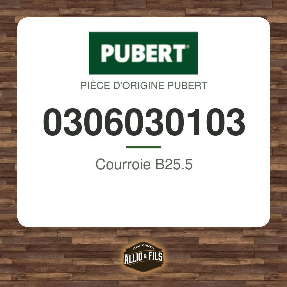 ?f=PU0306030103-48031857