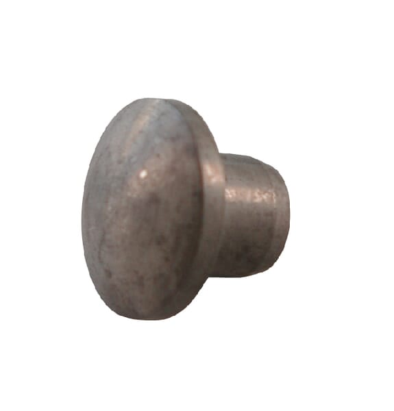 Champignon 10,1 - Agria AGW14646