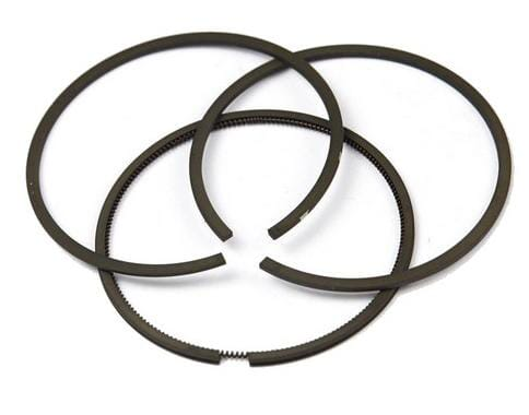 Kit de segments std - Briggs & Stratton 793435
