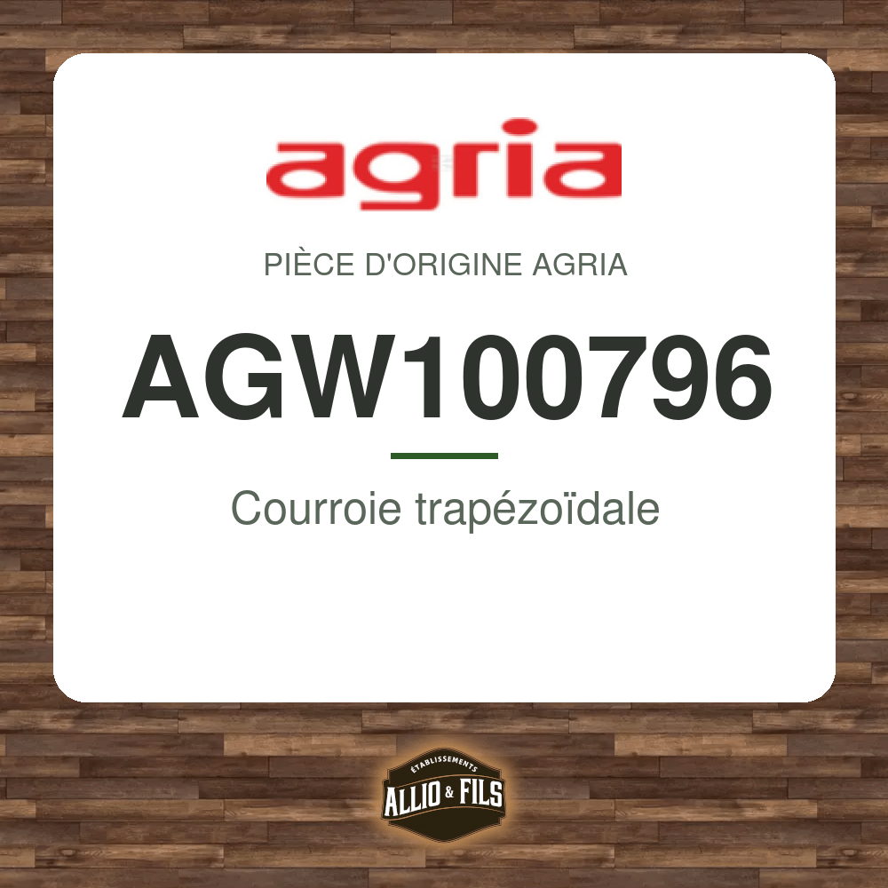 Courroie trapézoïdale - Agria AGW100796
