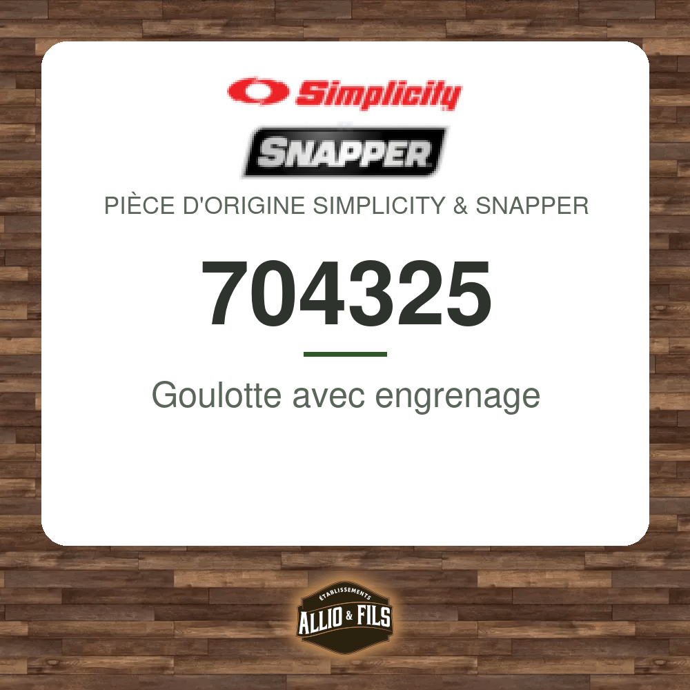 Goulotte avec engrenage - Simplicity & Snapper 704325
