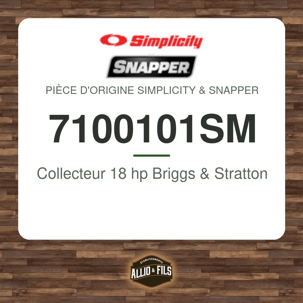 Collecteur 18 hp Briggs & Stratton - Simplicity & Snapper 7100101SM