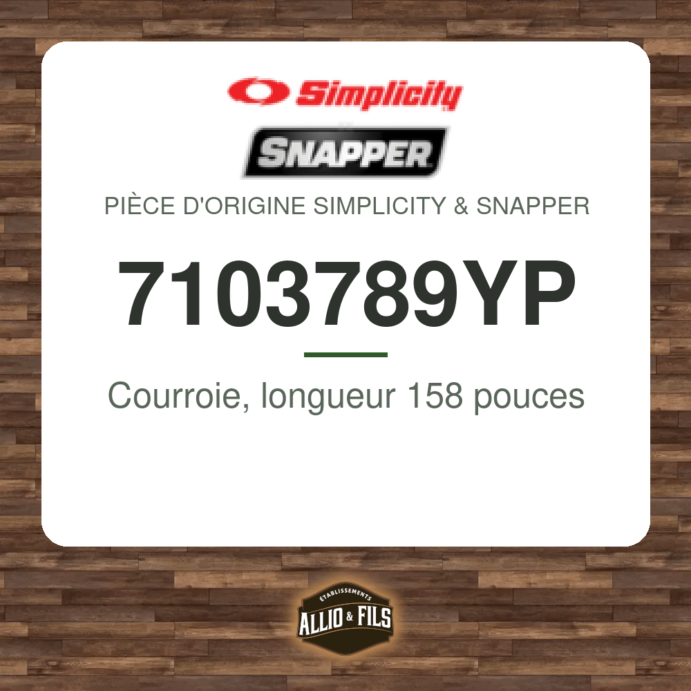 Courroie, longueur 158 pouces - Simplicity & Snapper 7103789YP