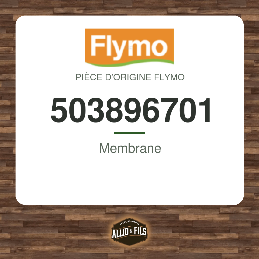 ?f=FL503896701-164365