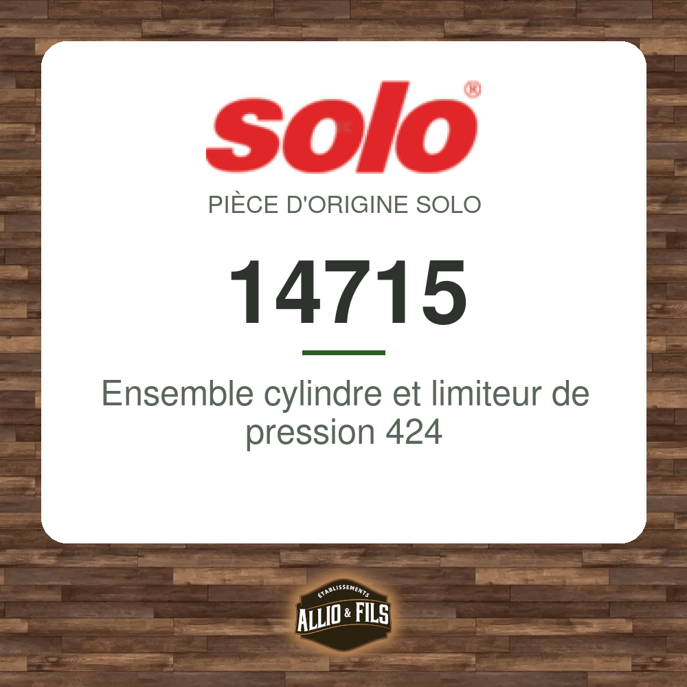 Ensemble cylindre et limiteur de pression 424 - Solo 14715