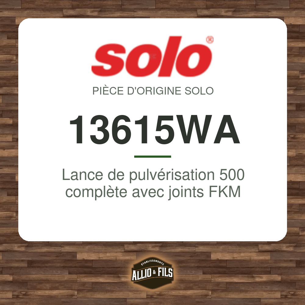 Lance de pulvérisation 500 complète avec joints FKM - Solo 13615WA