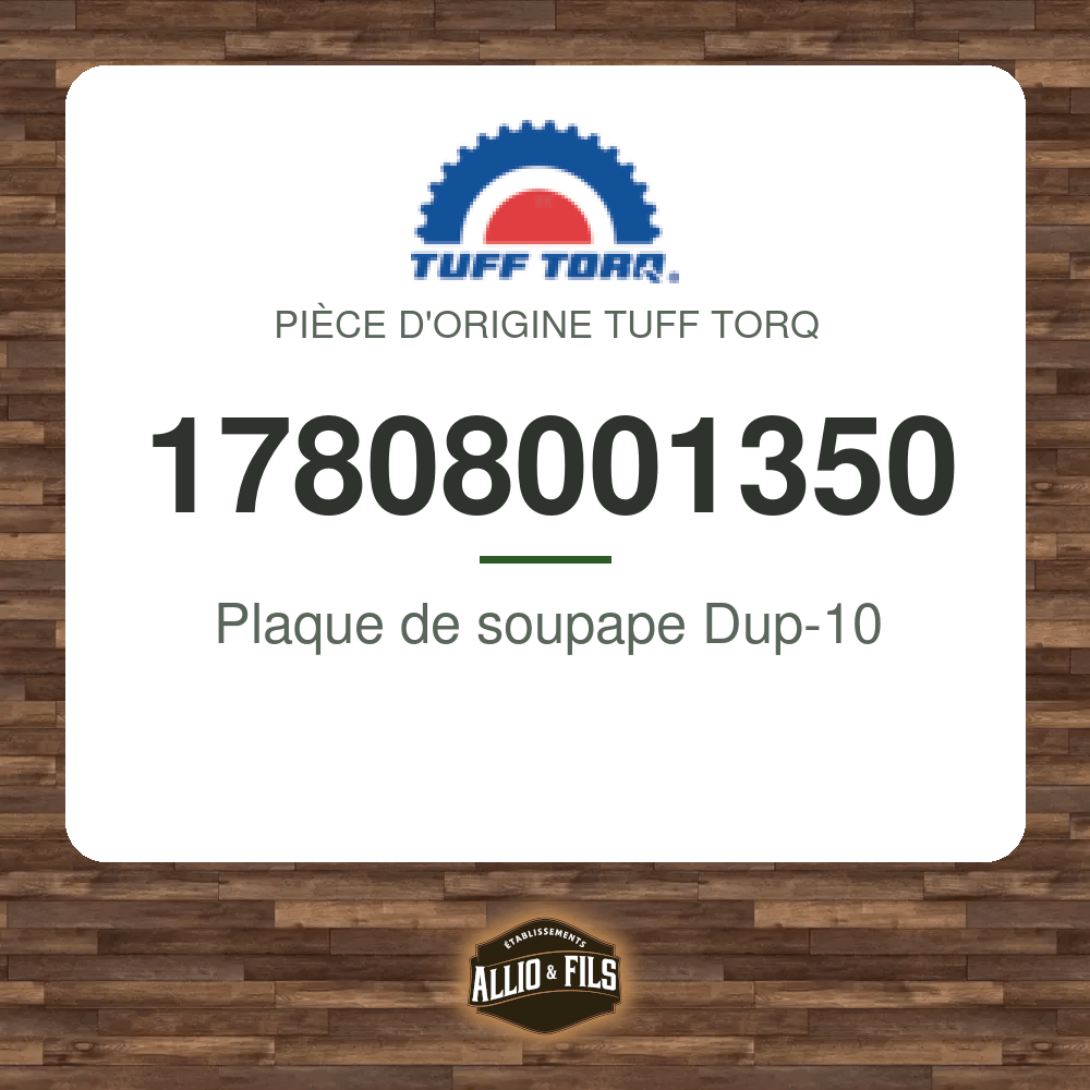 Plaque de soupape Dup-10 - Tuff Torq 17808001350