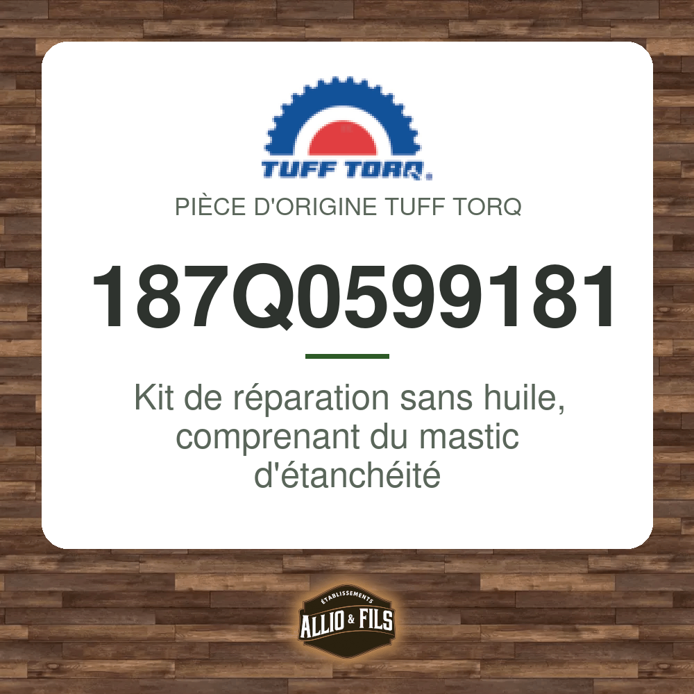 Kit de réparation sans huile, comprenant du mastic d'étanchéité - Tuff Torq 187Q0599181