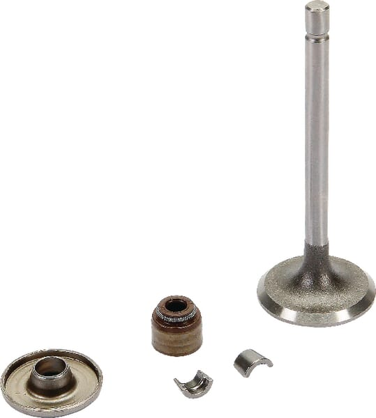 Soupape admission - Briggs & Stratton 843751
