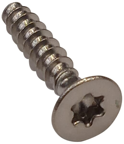 Vis Torx 4x20 - Ambrogio C02571