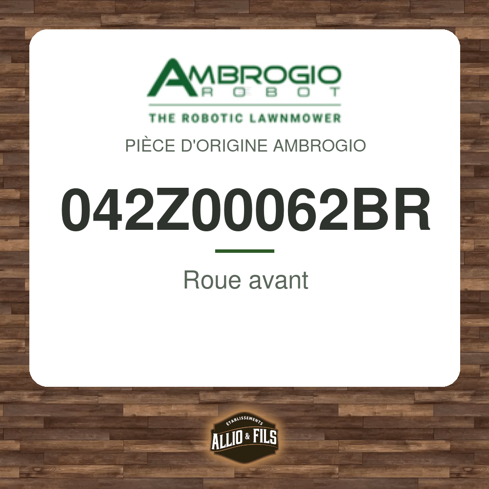 Roue avant - Ambrogio 042Z00062BR