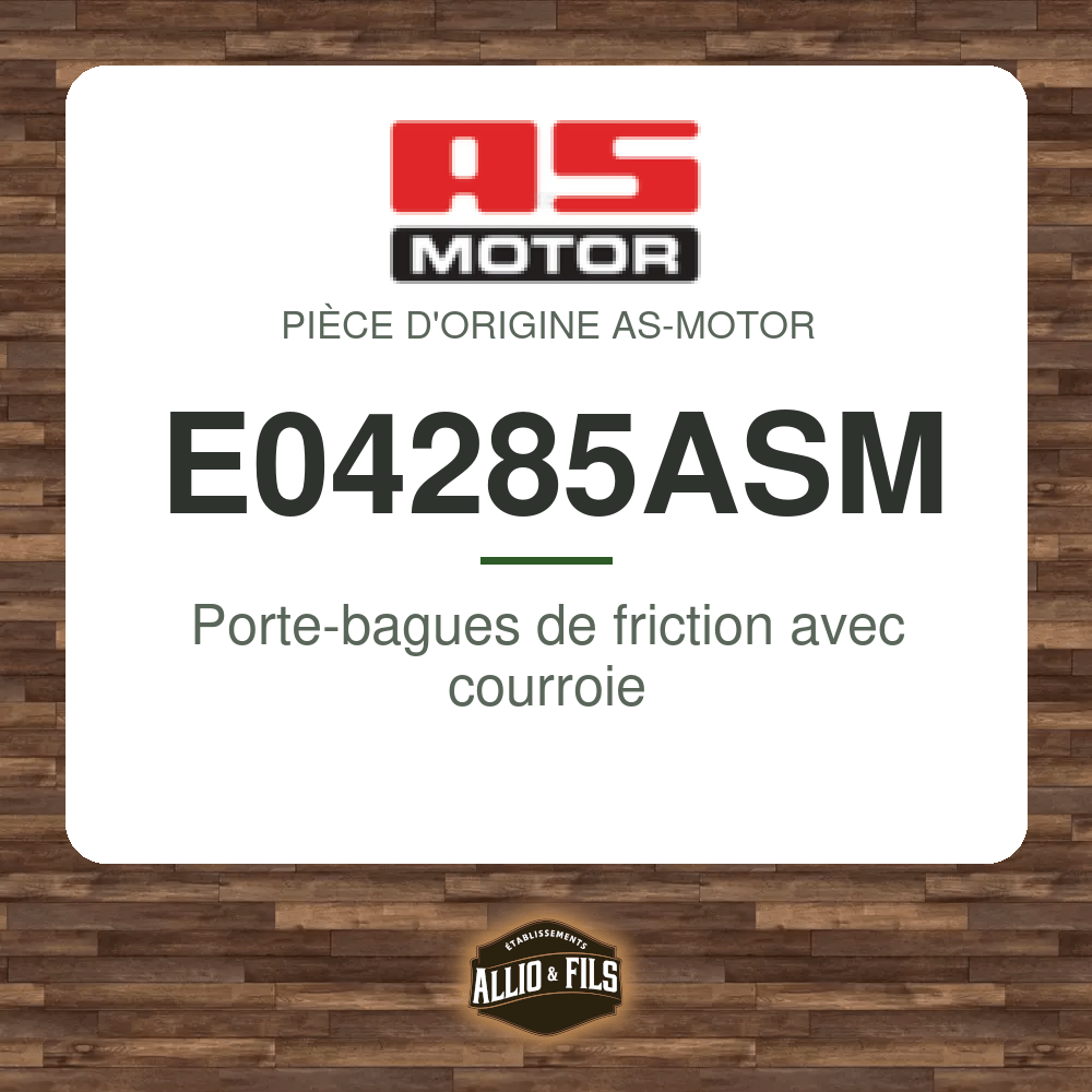 Porte-bagues de friction avec courroie - AS-Motor E04285ASM
