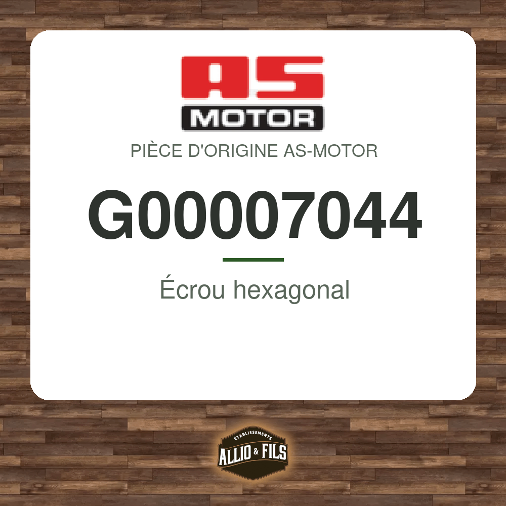 Écrou hexagonal - AS-Motor G00007044