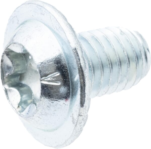 Vis à tête bombée Torx (10x) - AS-Motor G00009174
