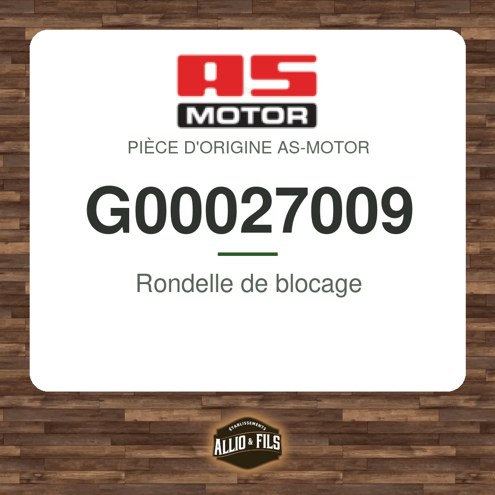 Rondelle de blocage - AS-Motor G00027009