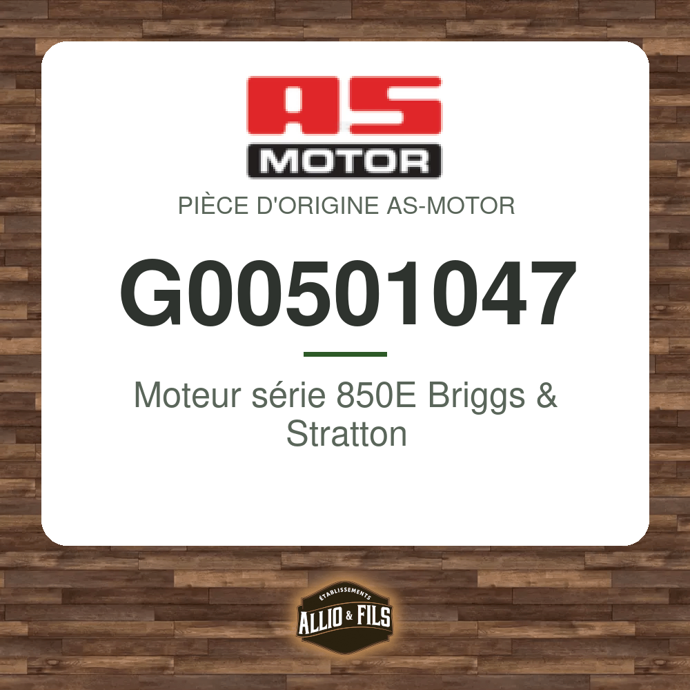 Moteur série 850E Briggs & Stratton - AS-Motor G00501047