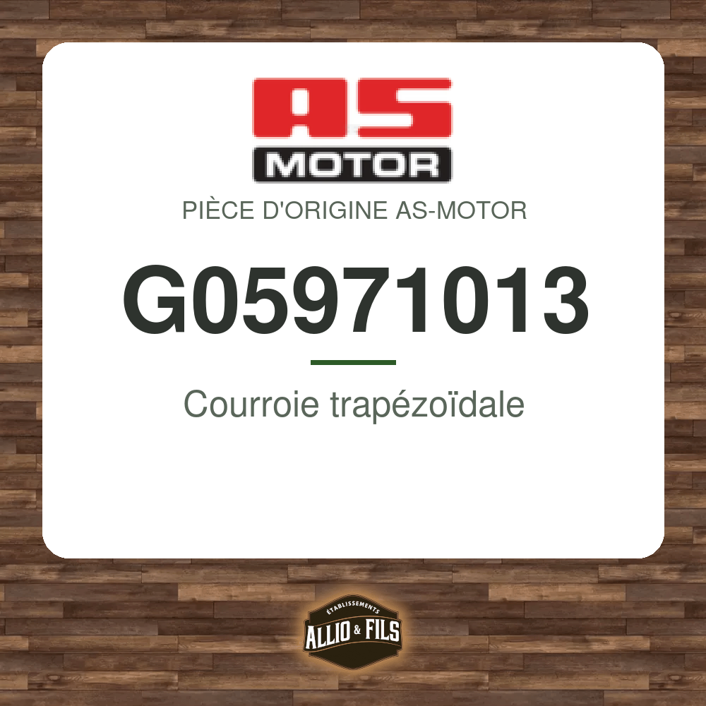 Courroie trapézoïdale - AS-Motor G05971013