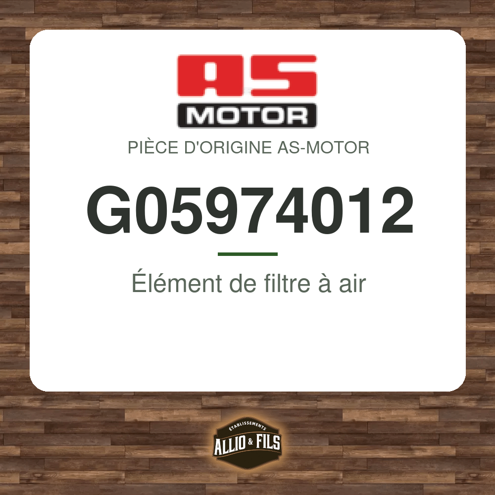 Élément de filtre à air - AS-Motor G05974012
