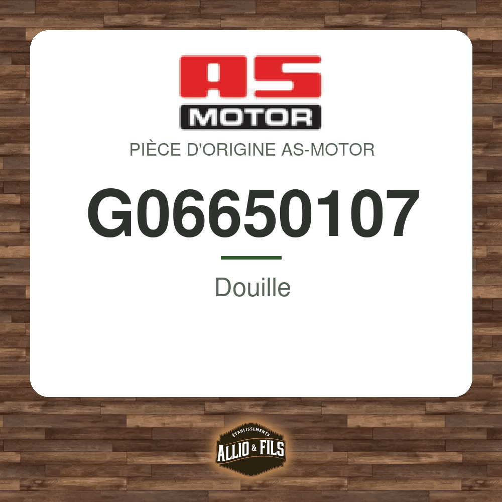 Douille - AS-Motor G06650107