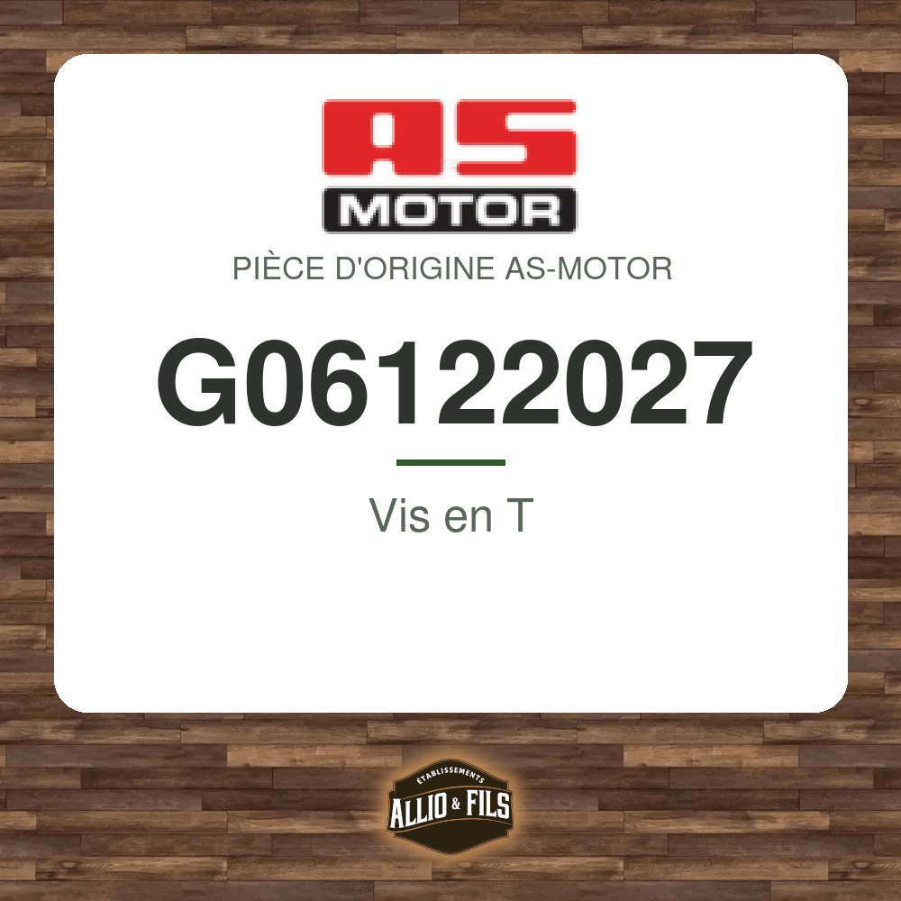 Vis en T - AS-Motor G06122027