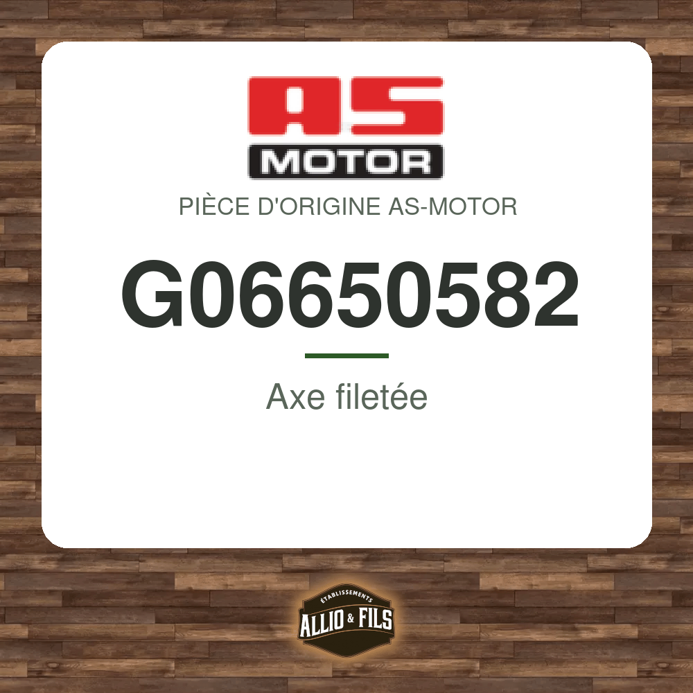 Axe filetée - AS-Motor G06650582