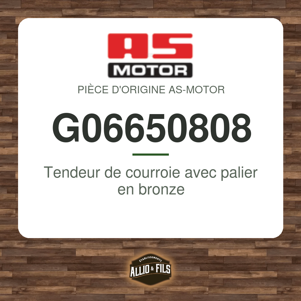 Tendeur de courroie avec palier en bronze - AS-Motor G06650808