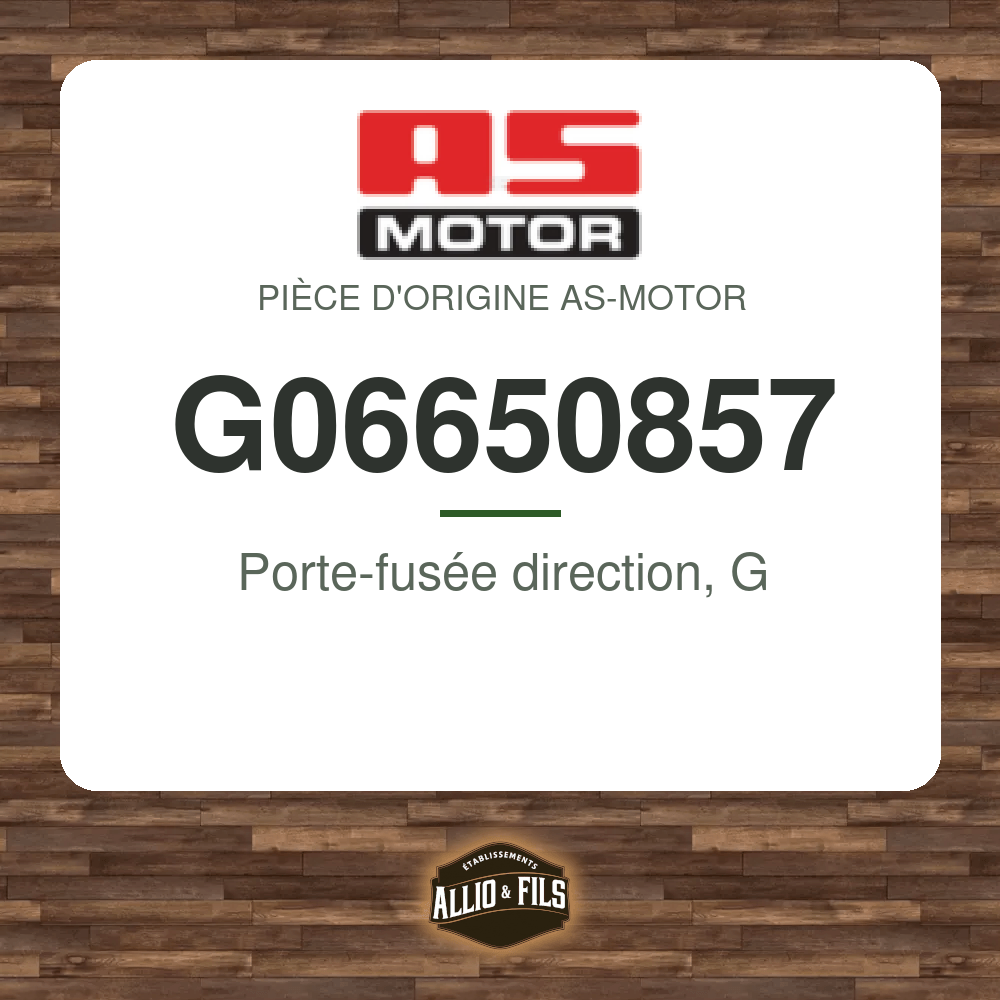Porte-fusée direction, G - AS-Motor G06650857