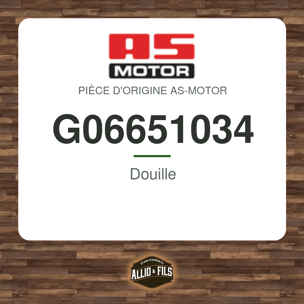 Douille - AS-Motor G06651034