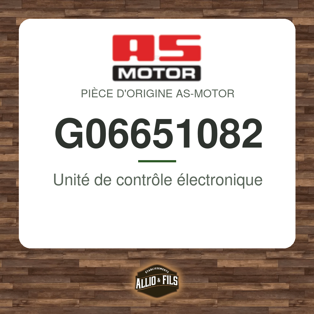 Unité de contrôle électronique - AS-Motor G06651082