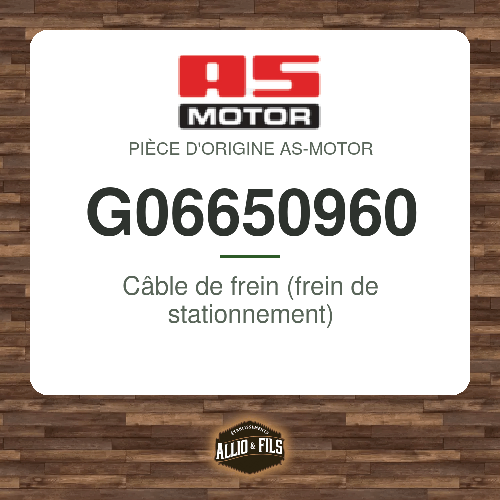 ?f=ASG06650960-170154