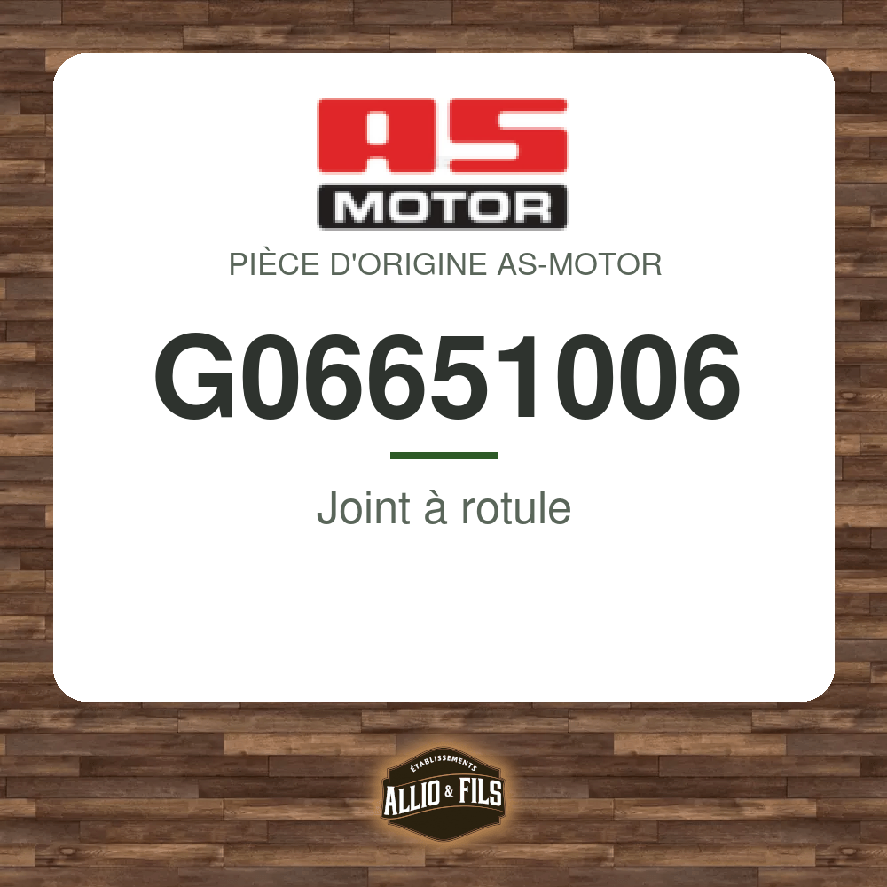 Joint à rotule - AS-Motor G06651006