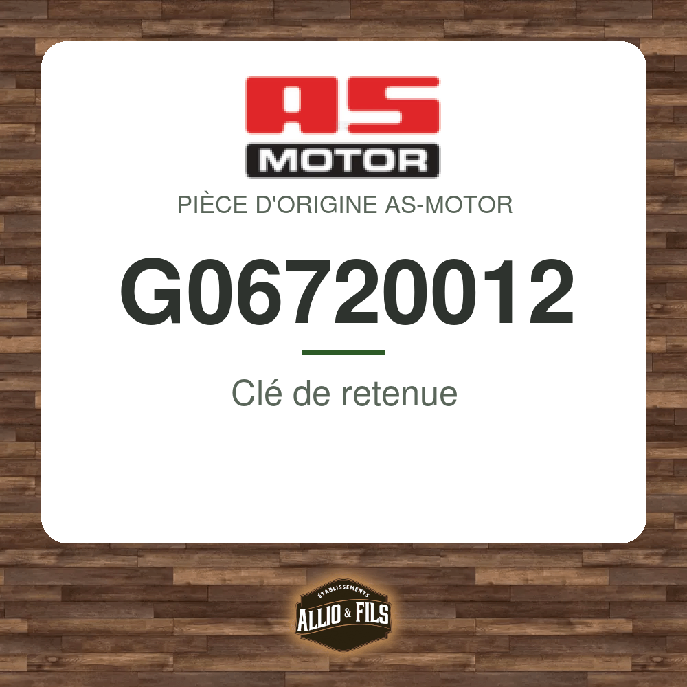 Clé de retenue - AS-Motor G06720012