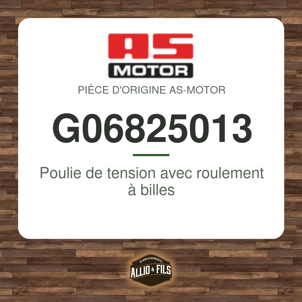 Poulie de tension avec roulement à billes - AS-Motor G06825013