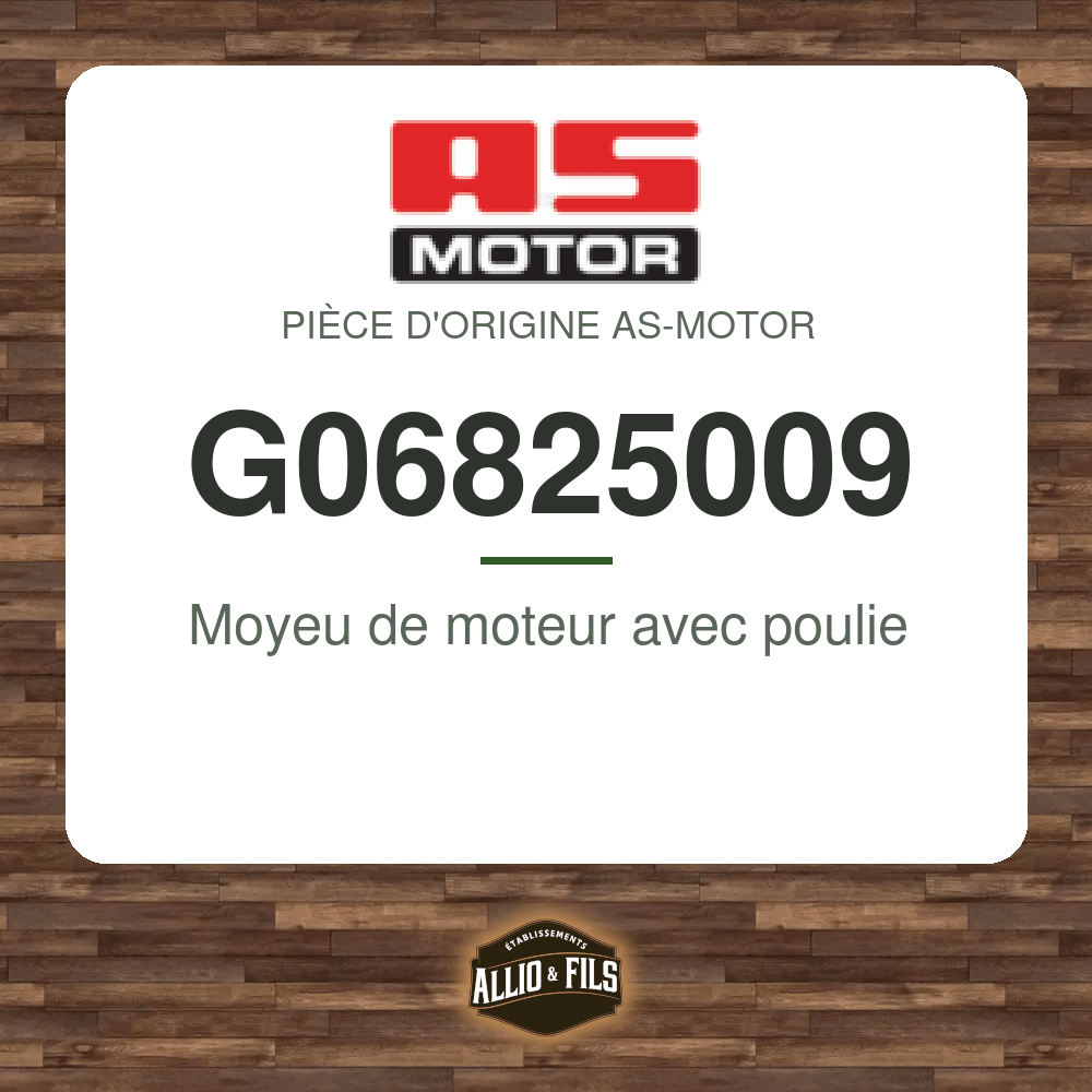 Moyeu de moteur avec poulie - AS-Motor G06825009