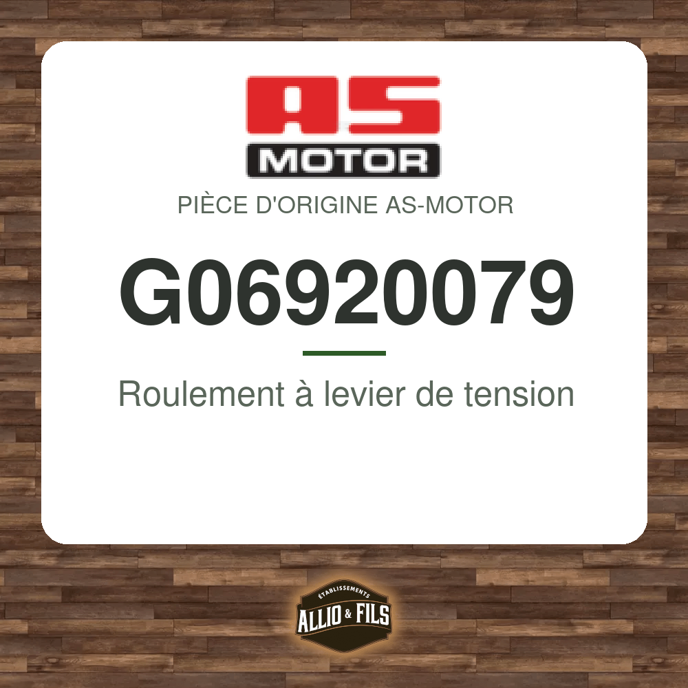 Roulement à levier de tension - AS-Motor G06920079