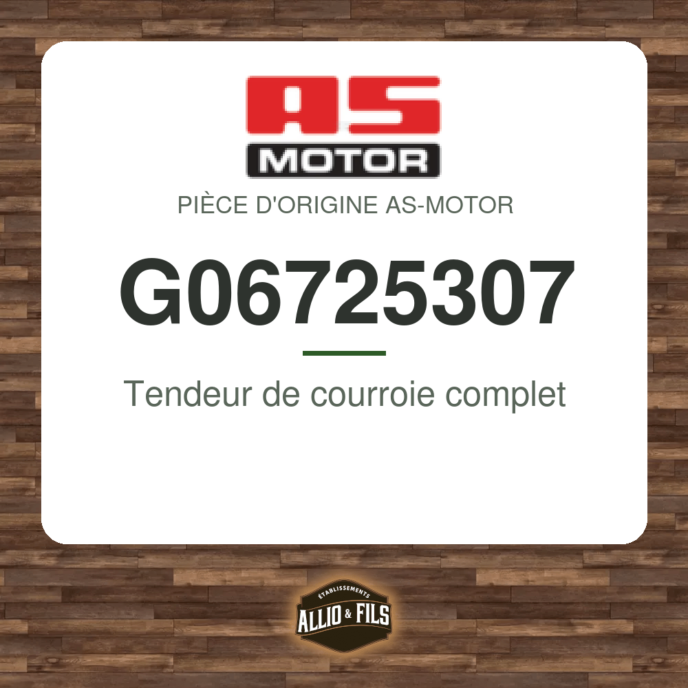 Tendeur de courroie complet - AS-Motor G06725307