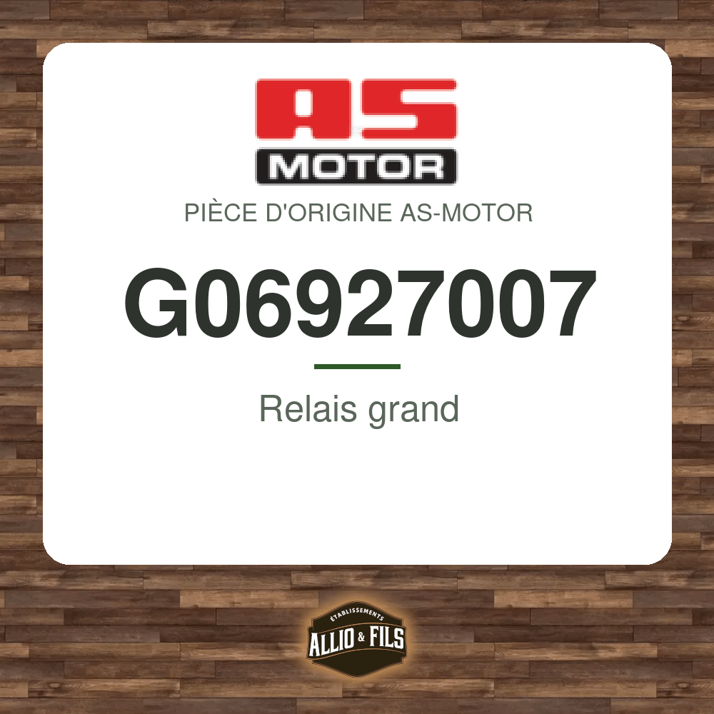 Relais grand - AS-Motor G06927007