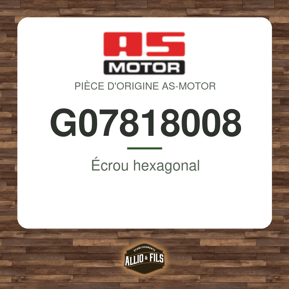 Écrou hexagonal - AS-Motor G07818008