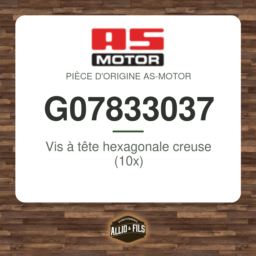 Vis à tête hexagonale creuse (10x) - AS-Motor G07833037