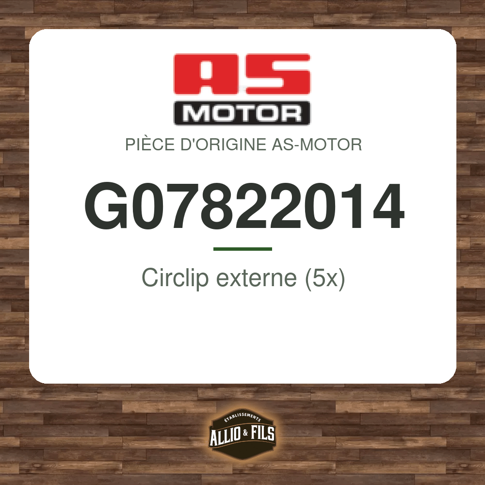 Circlip externe (5x) - AS-Motor G07822014