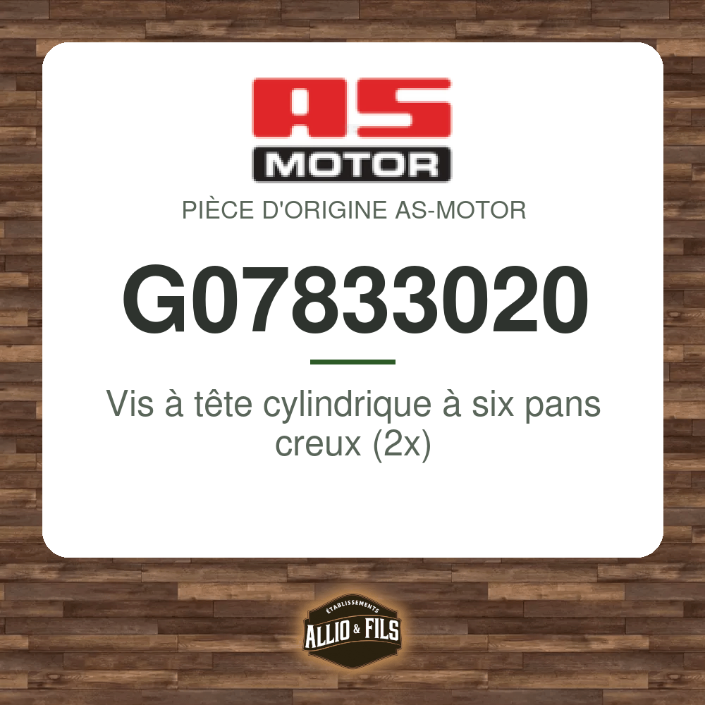 Vis à tête cylindrique à six pans creux (2x) - AS-Motor G07833020