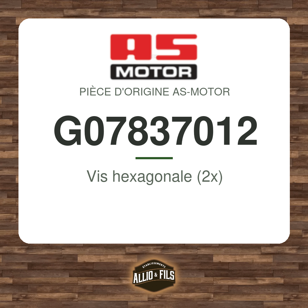 Vis hexagonale (2x) - AS-Motor G07837012