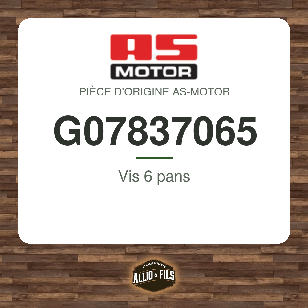 Vis 6 pans - AS-Motor G07837065