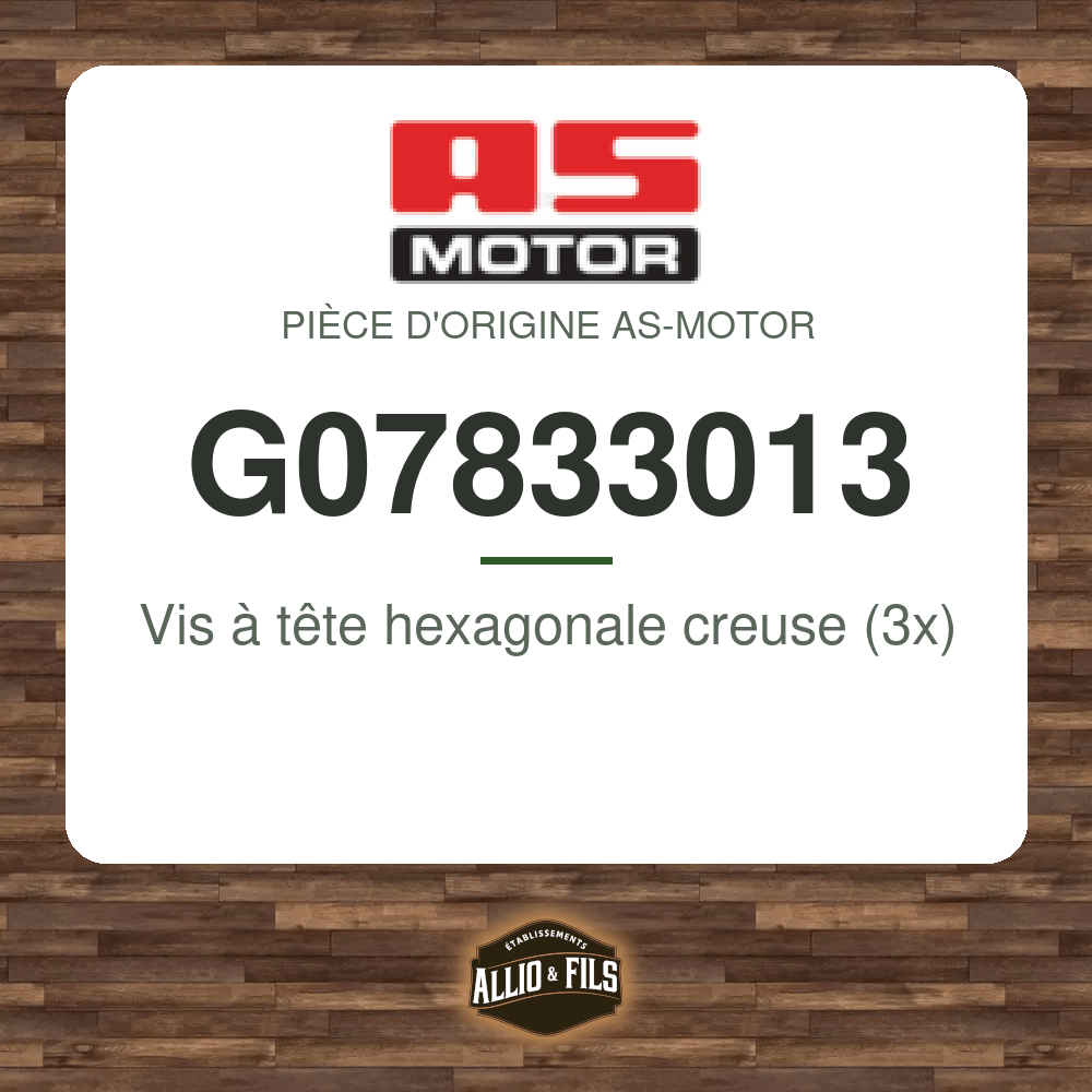 Vis à tête hexagonale creuse (3x) - AS-Motor G07833013