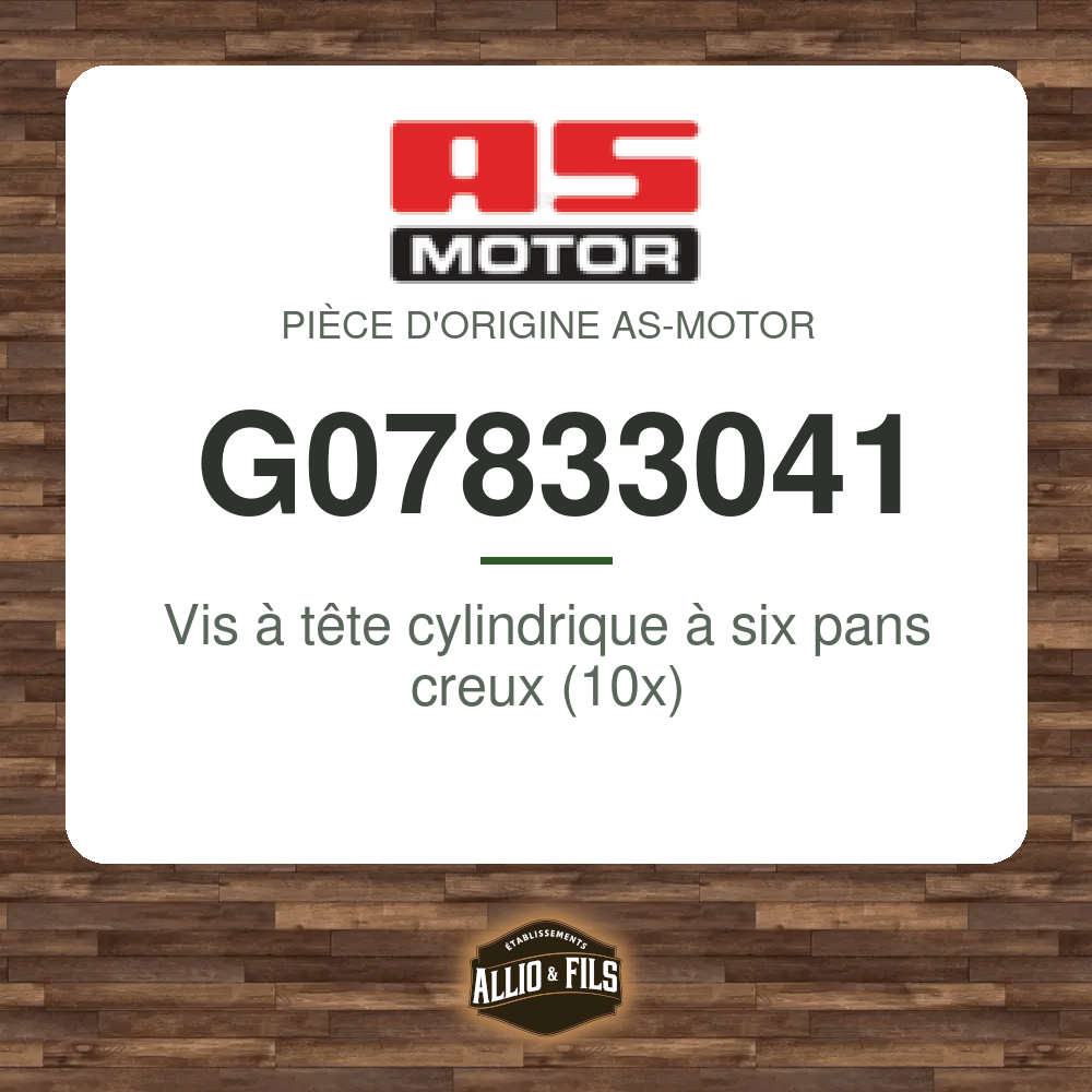 Vis à tête cylindrique à six pans creux (10x) - AS-Motor G07833041